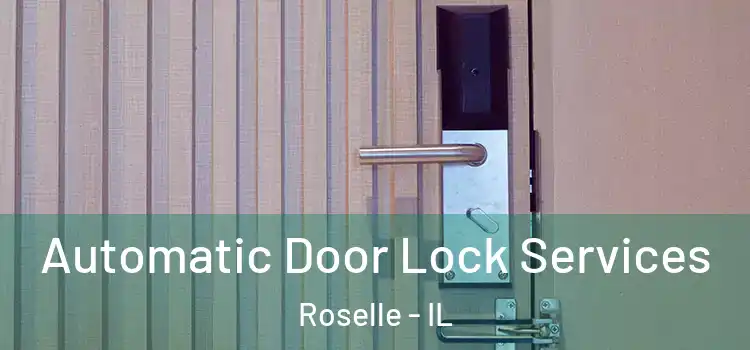 Automatic Door Lock Services Roselle - IL