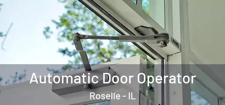 Automatic Door Operator Roselle - IL