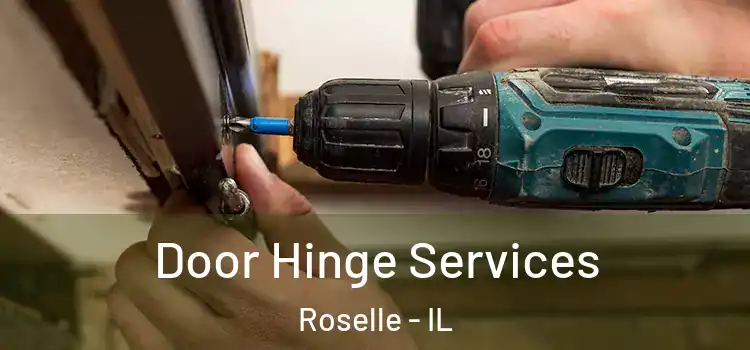 Door Hinge Services Roselle - IL