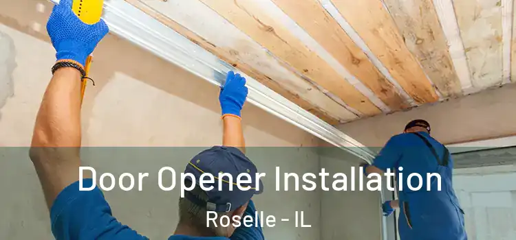 Door Opener Installation Roselle - IL