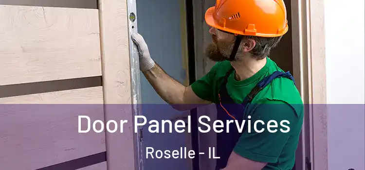 Door Panel Services Roselle - IL