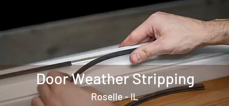 Door Weather Stripping Roselle - IL