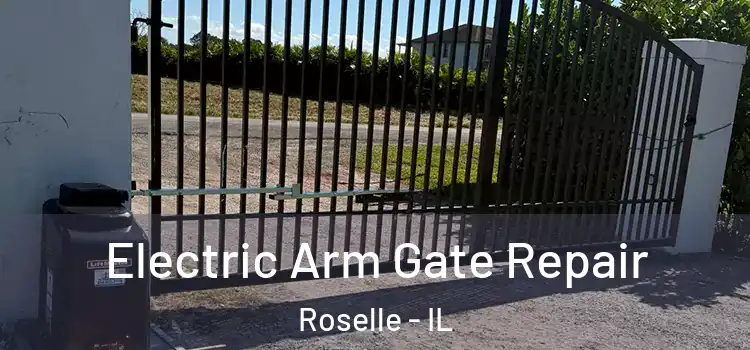 Electric Arm Gate Repair Roselle - IL
