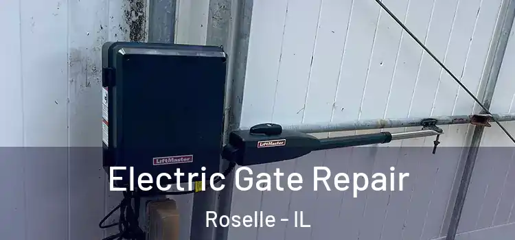 Electric Gate Repair Roselle - IL