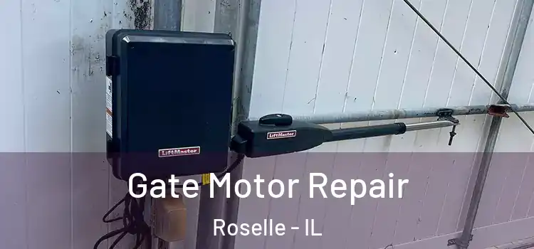 Gate Motor Repair Roselle - IL