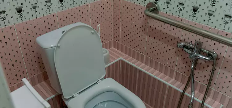 Meeting Diverse Needs With Accessible Restroom Solutions in Roselle, IL