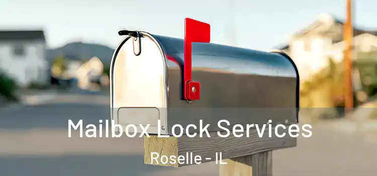 Mailbox Lock Services Roselle - IL