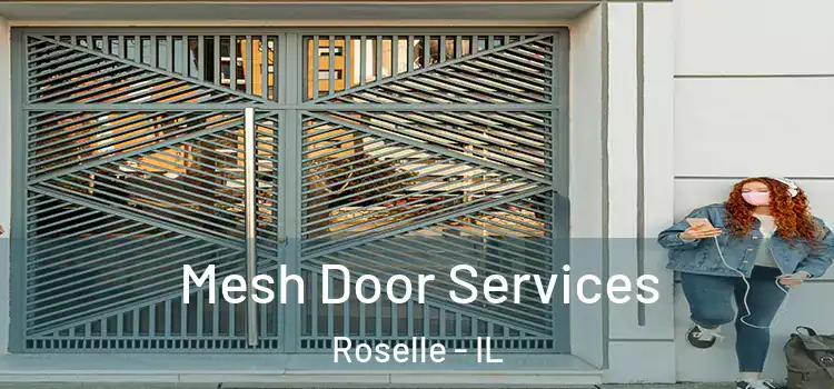  Mesh Door Services Roselle - IL