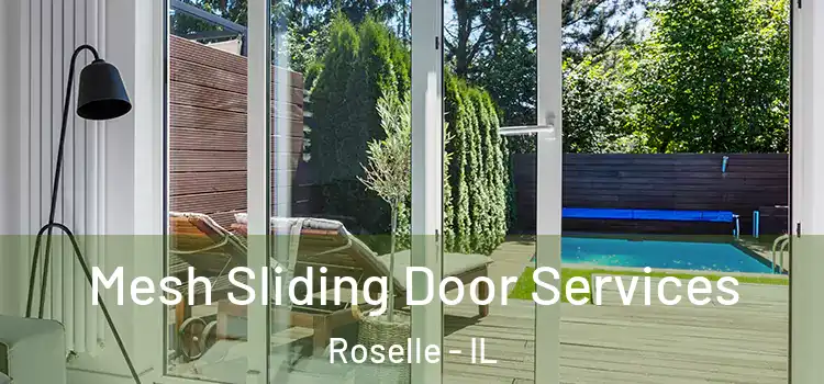 Mesh Sliding Door Services Roselle - IL