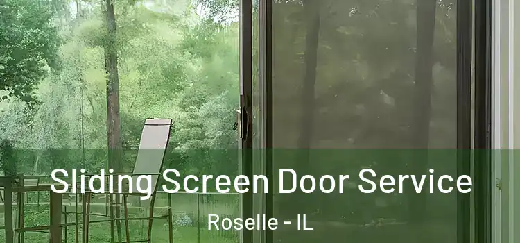 Sliding Screen Door Service Roselle - IL