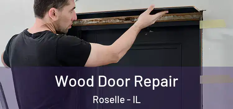 Wood Door Repair Roselle - IL