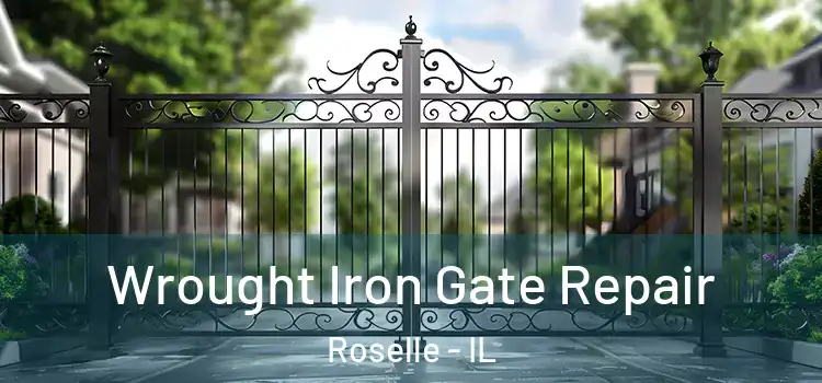 Wrought Iron Gate Repair Roselle - IL